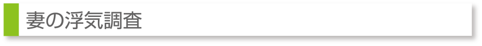 妻の浮気調査